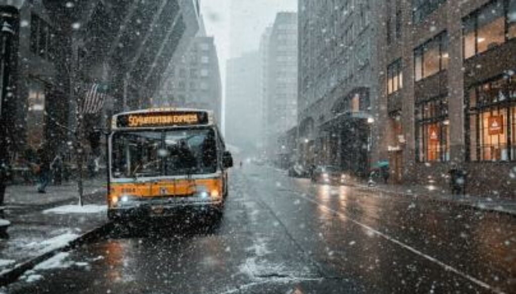 1733217919_nieve