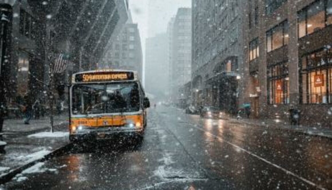 1733217919_nieve